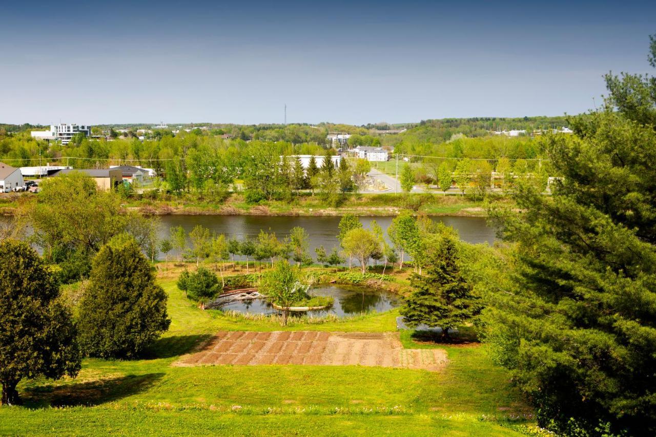 Hebergement "La Maison En Bois Rond" Sainte-Marie Esterno foto