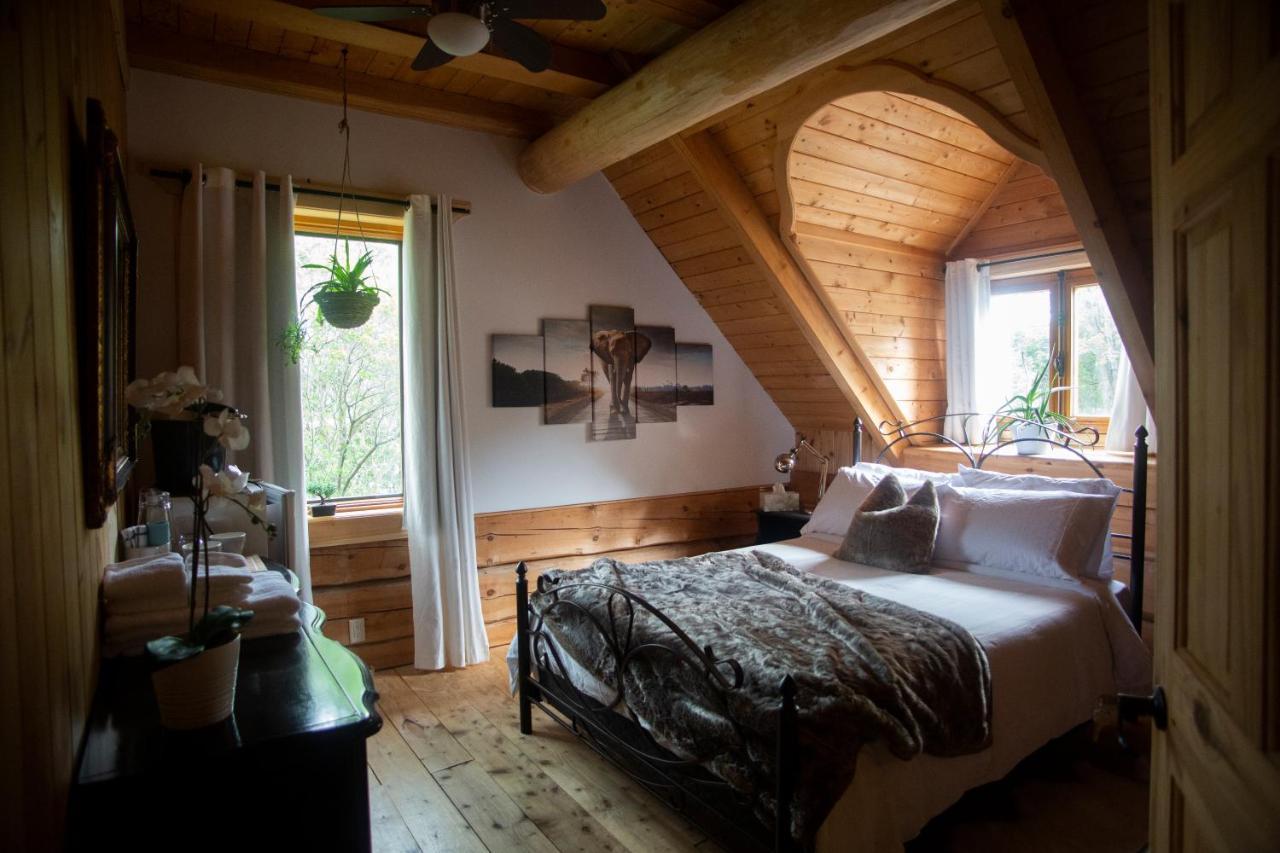 Hebergement "La Maison En Bois Rond" Sainte-Marie Esterno foto